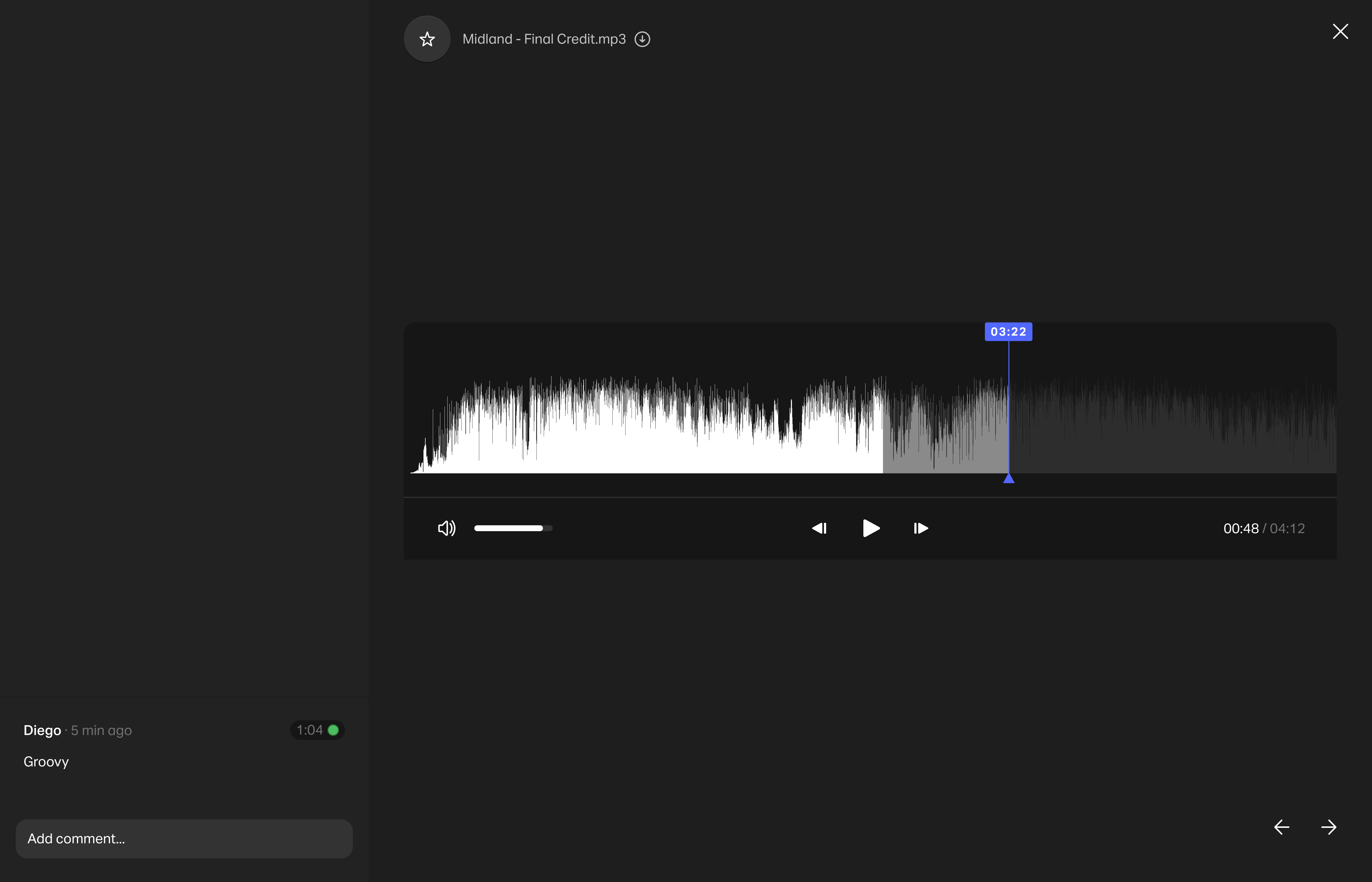 Single item view - audio.png