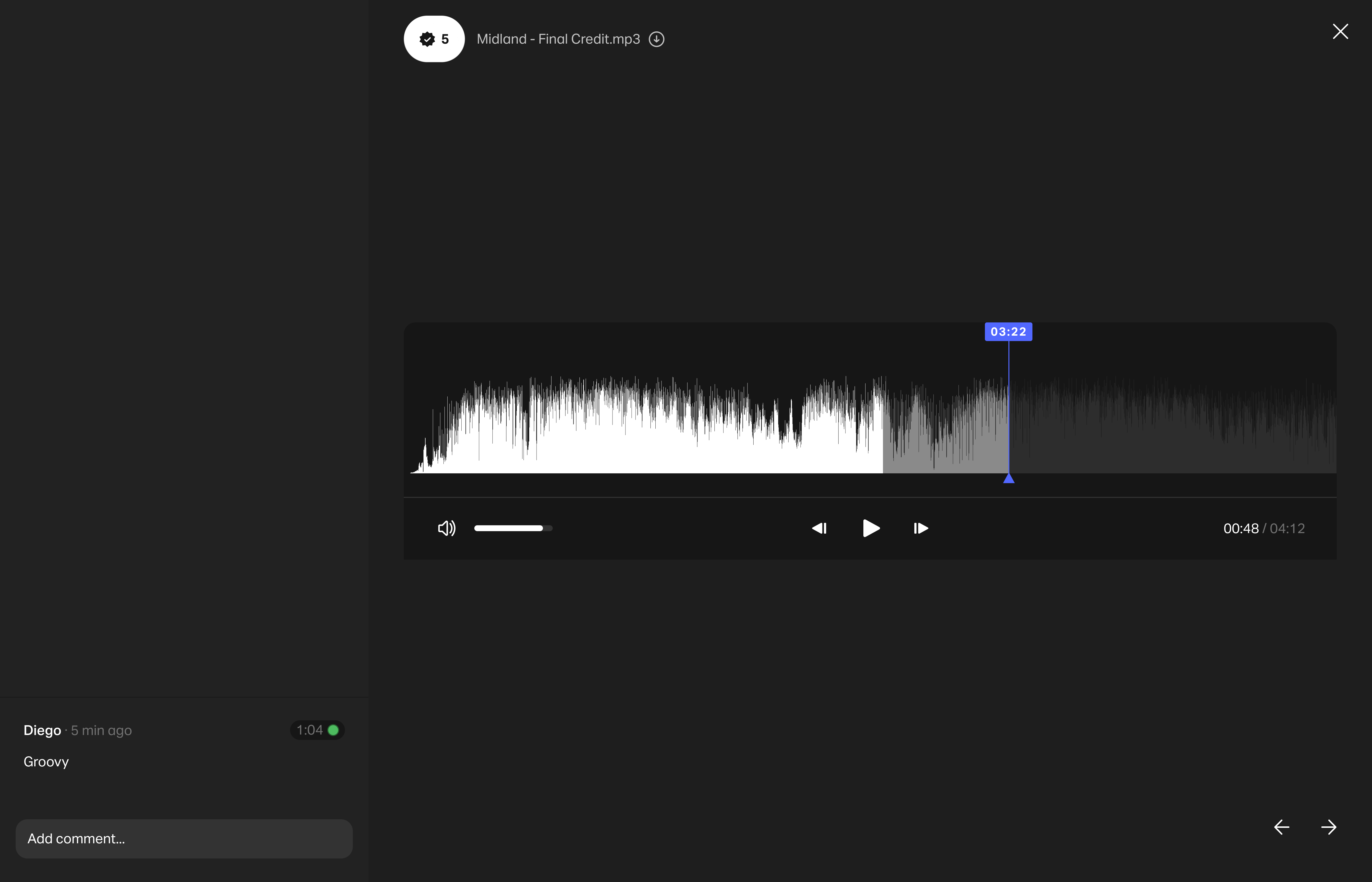 Single item view - audio (1).png